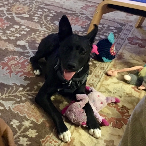 Hi! I’m Angie 🌺 - Picture 12 of 16